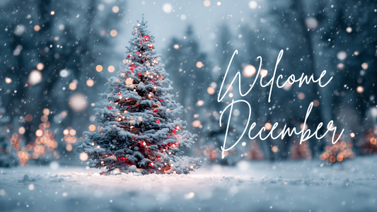 ✨ December Newsletter – The Wellness Hub